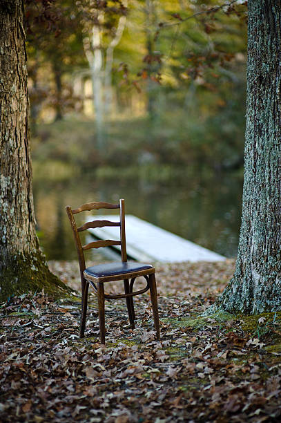 istock Chair in the Woods 152997397