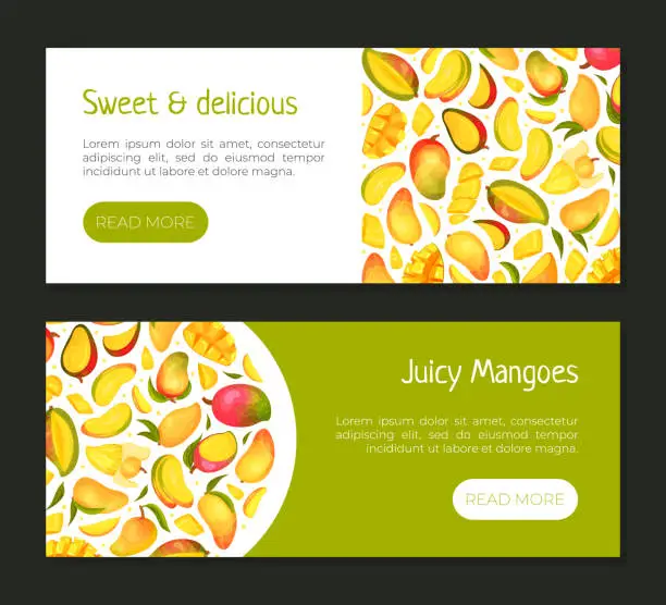 Vector illustration of Ripe Mango Banner Design with Bright Tropical Fruit Vector Template