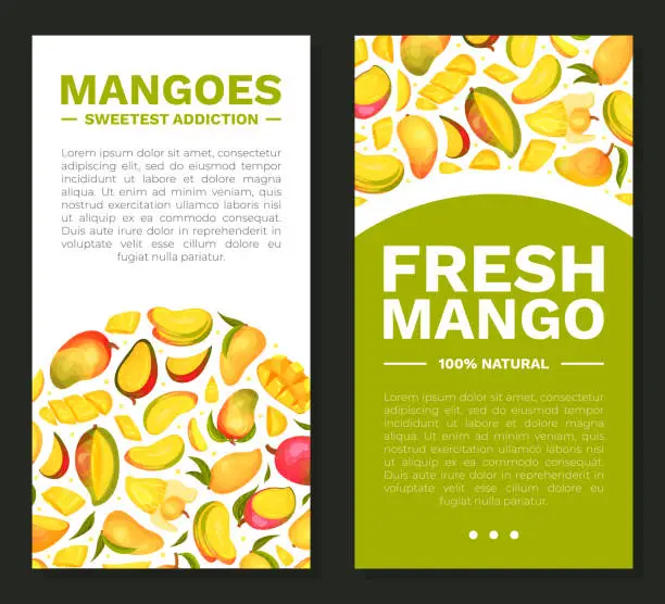 Vector illustration of Ripe Mango Banner Design with Bright Tropical Fruit Vector Template