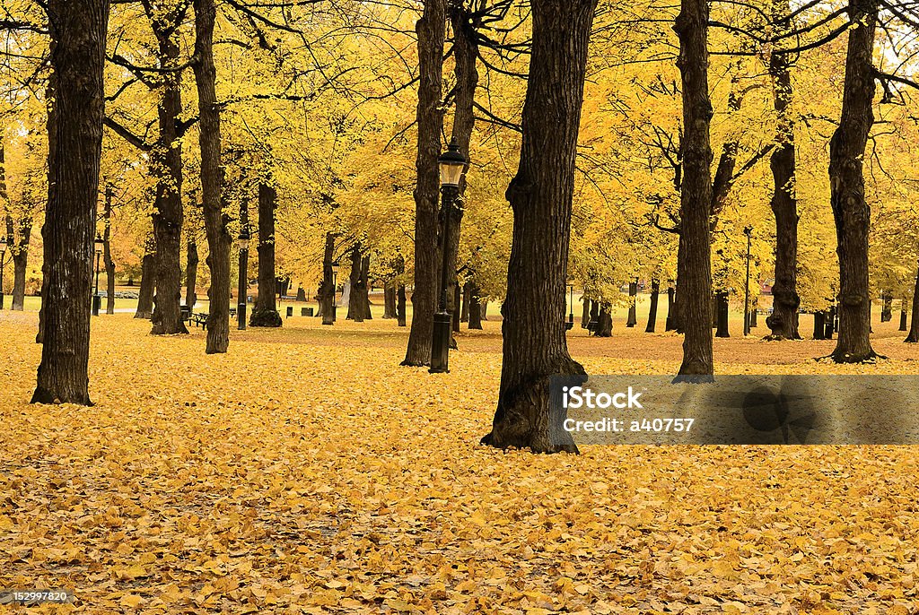 Otoño en Estocolmo - Foto de stock de Aire libre libre de derechos