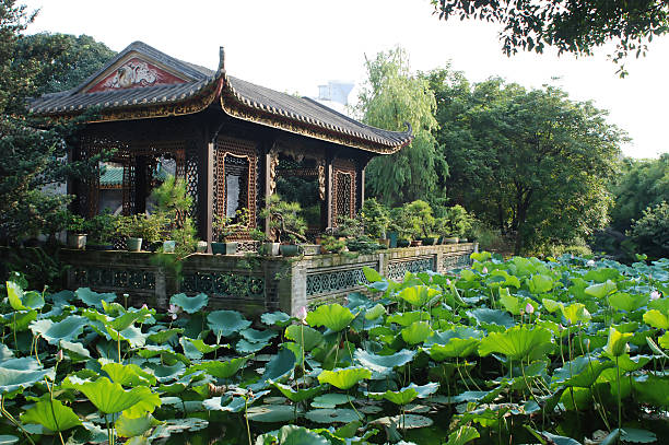 istock Chinese ancient garden with lotus pond 152997899
