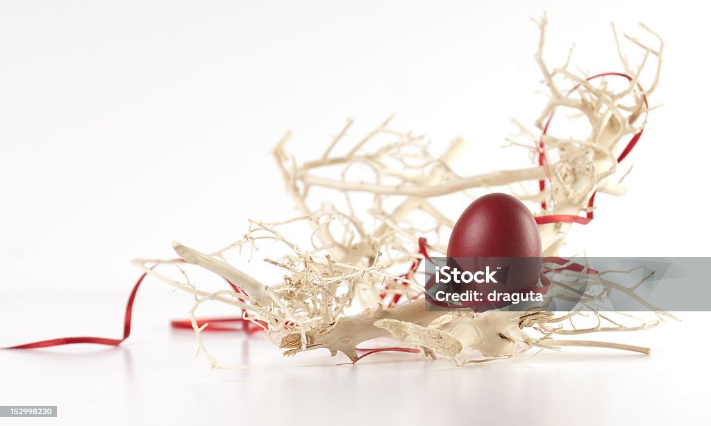 Uovo di Pasqua tra i rami - Foto stock royalty-free di Beige