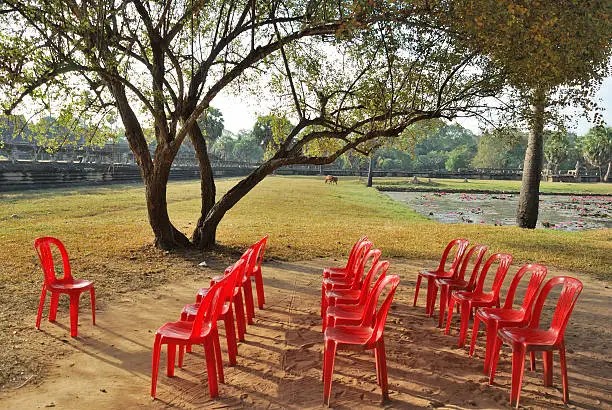 Photo of red chairs under a big tree