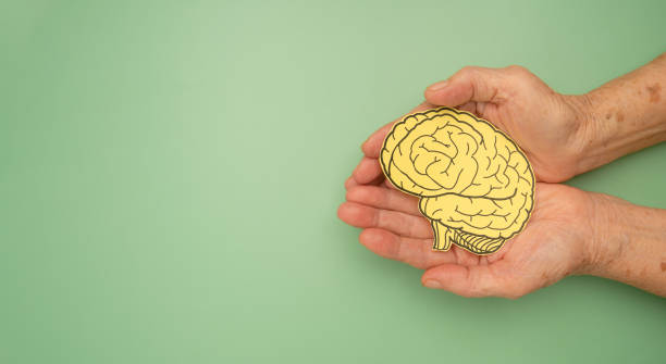istock Brain shape made from paper on a palm senior woman on a green background 1529986196