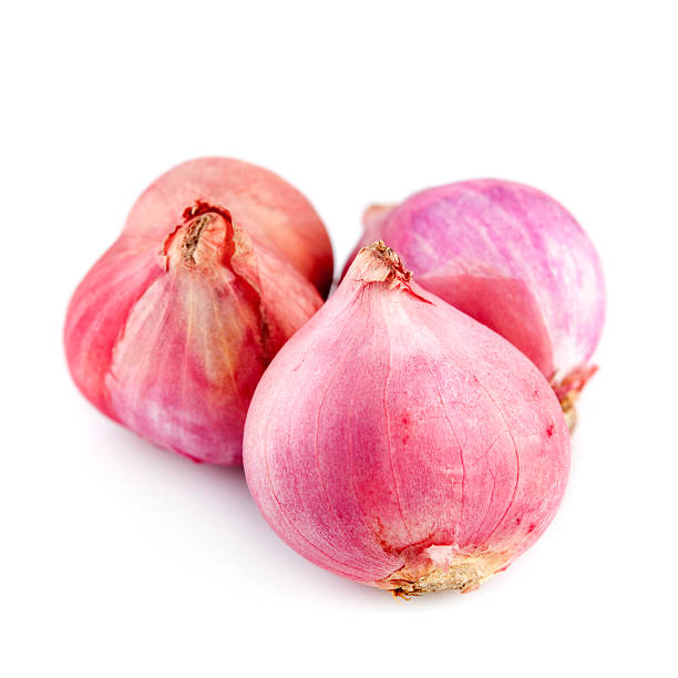 14,300+ Pink Onion Stock Photos, Pictures & Royalty-Free Images