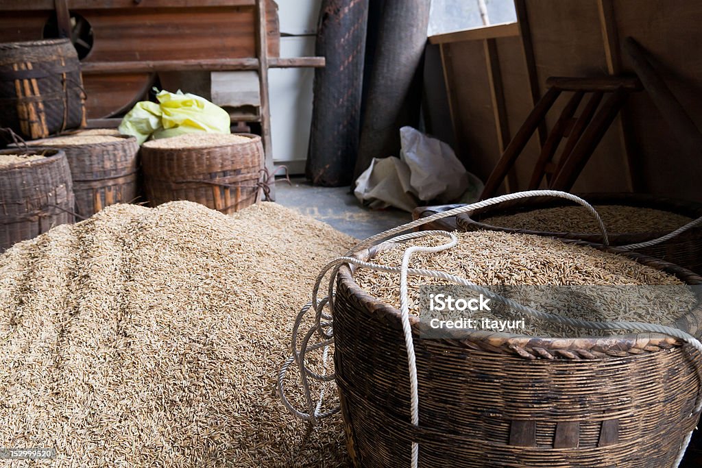 arroz - Foto de stock de Arroz - Comida básica libre de derechos