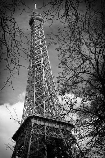 A Monochrome picture of the Eiffel Tower, symbol of Paris and France, sorrounded by tree branches