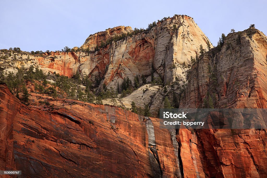 Árvores verdes vermelho e branco Canyon paredes Zion National Park de Utah - Foto de stock de Arenito royalty-free