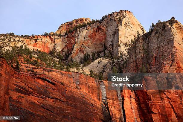 Foto de Árvores Verdes Vermelho E Branco Canyon Paredes Zion National Park De Utah e mais fotos de stock de Arenito