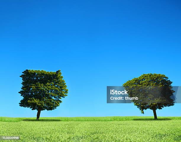 フィールドと木々 - 二つのストックフォトや画像を多数ご用意 - 二つ, 樹木, Horizon
