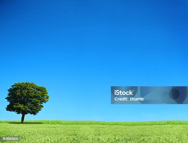 Lonely Tree Foto de stock y más banco de imágenes de Agricultura - Agricultura, Aire libre, Ausencia