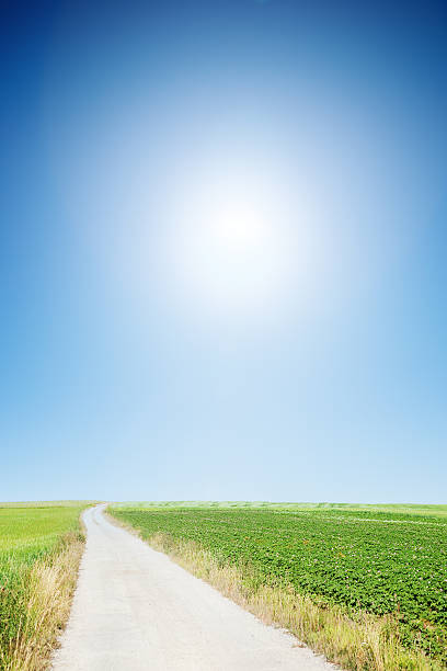 istock country road with cloudless sunny sky 153001045