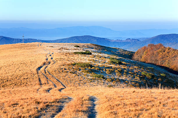 の秋の朝 mountain road を渡ります。 - cross autumn sky beauty in nature ストックフォトと画像