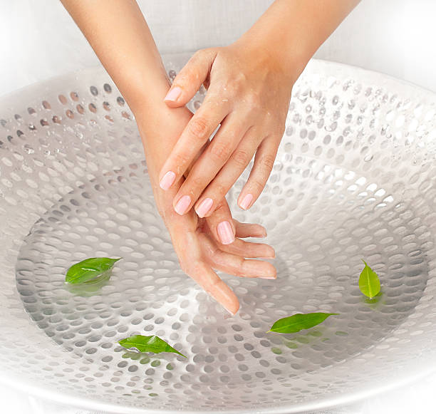 Woman's hands with green leaves stock photo