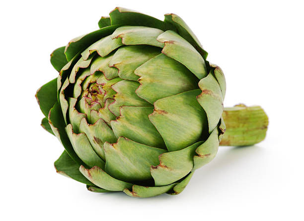 Artichoke stock photo