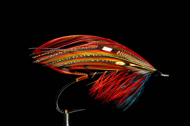 Fly fishing flies stock photo