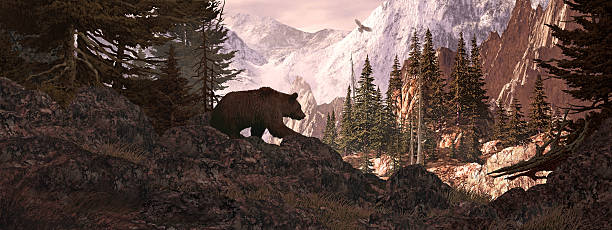 Silhouetted Grizzly Bear Lookout stock photo