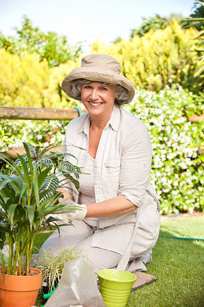 istock Smiling aged woman gardening 153003431