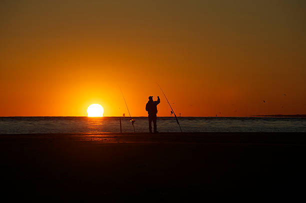 Sunset Fisherman A fisherman is silhouetted by a sunset on a beach in North Carolina as he gets a rod ready to cast out. Birds can be seen flying in the background sea fishing stock pictures, royalty-free photos & images