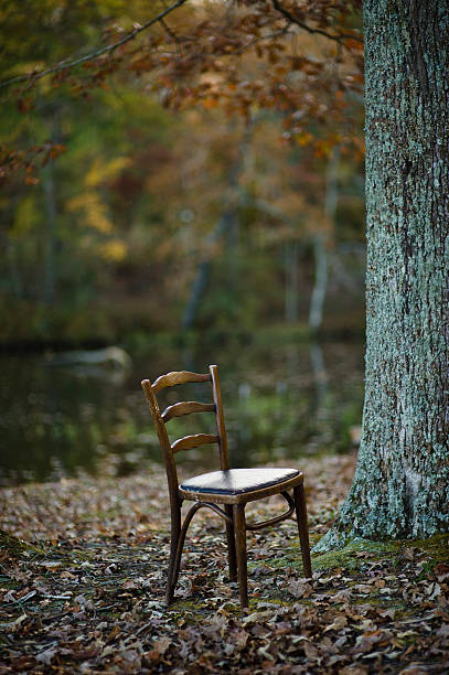 istock Chair in the Woods 153004118
