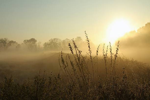 istock Sunrise over the misty meadow 153004908
