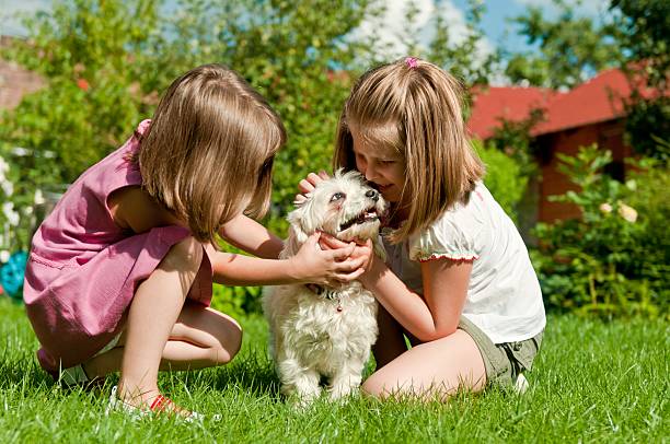 istock Children with dog 153005059