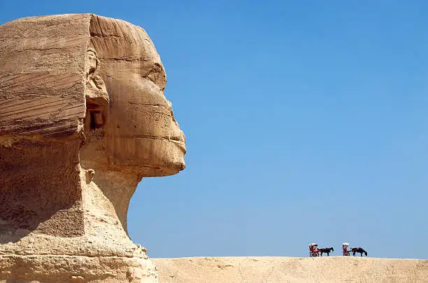 Head of Egyptian sphinx with horses carriages in front. 
