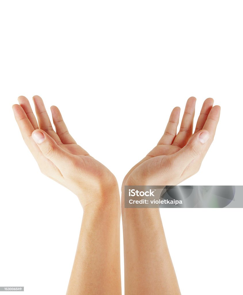 Two hands reaching up to the sky Hands on a white background Adult Stock Photo