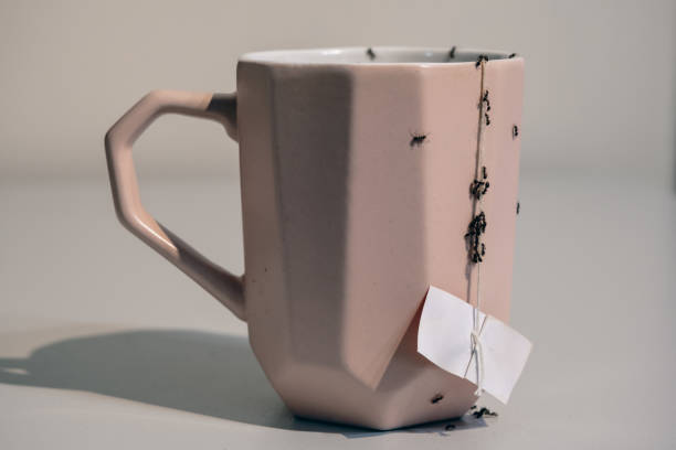 istock A plague of ants in the kitchen - falling on a cup 1530068164