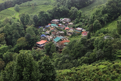 panoramic view of lush green valley and mountain village in summer, located on himalayan foothills near darjeeling hill station in west bengal, india