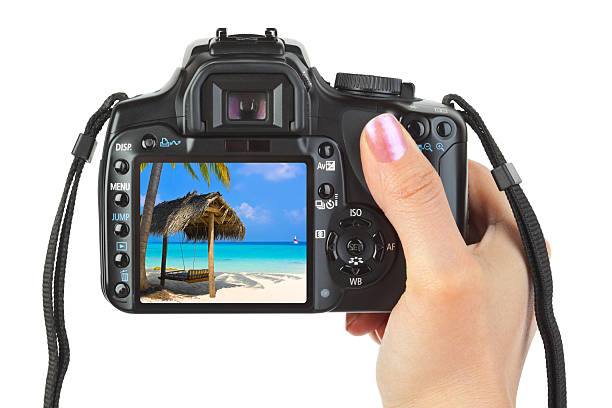 camera in hand and beach landscape - kustlinje videor bildbanksfoton och bilder