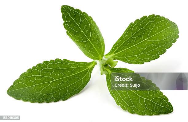 Stevia Foto de stock y más banco de imágenes de Alimento - Alimento, Arbusto, Aumento a pequeña escala