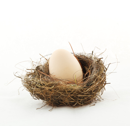 Small nest with big egg, isolated on white