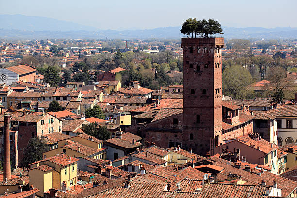 istock Lucca and the Guinigi Tower 153011408