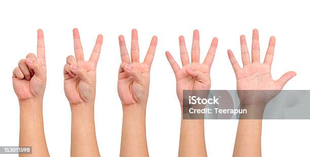 A Contar As Mãos - Fotografias de stock e mais imagens de Número 5 - Número 5, Adulto, Apontar - Sinal Manual
