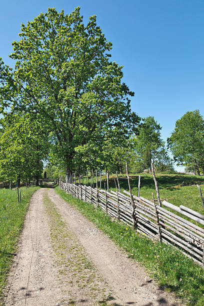 istock Gravel road 153011699