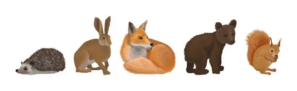 Vector illustration of Forest Animal and Habitant with Hedgehog, Rabbit, Fox, Bear Cub and Squirrel Vector Set