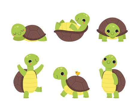 Cute Turtle with Shell and Short Feet Engaged in Different Activity Vector Set. Funny Reptile Enjoying Life Concept