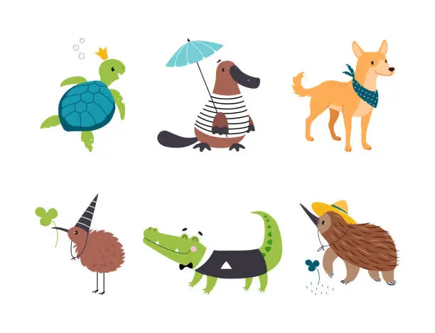 Vector illustration of Cute Australian Animal with Turtle, Platypus, Dingo Dog, Kiwi Bird, Crocodile and Echidna Vector Set