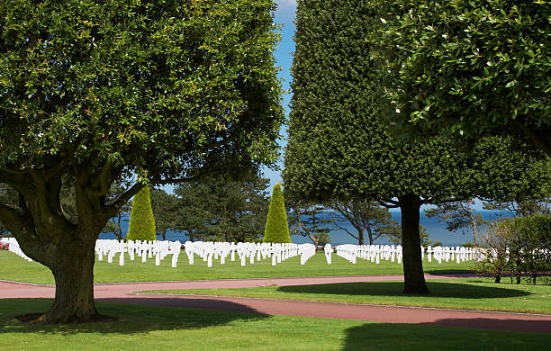 Trees and graves Graves overlooking the Atlantic Ocean at the American war cemetery in Normandy, France world war ii cemetery allied forces d day stock pictures, royalty-free photos & images