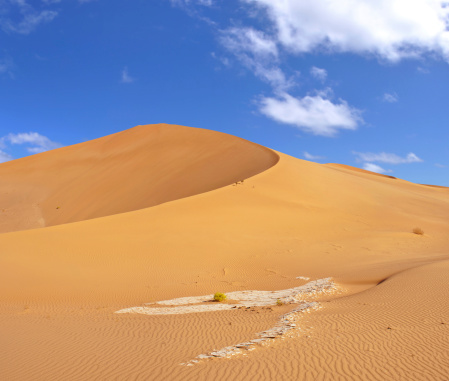 A dune in the Rub Al Khali Desert in western Oman