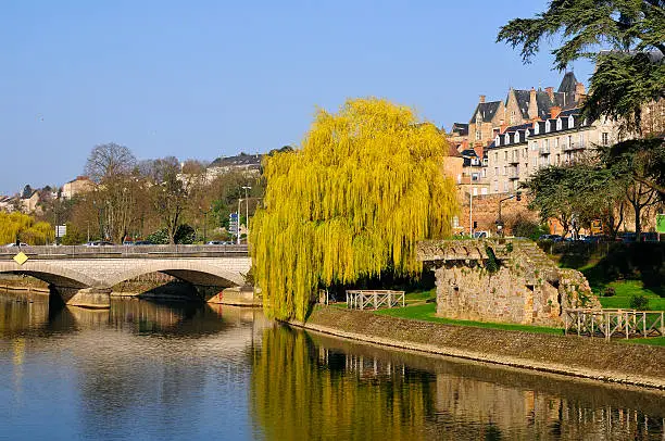 The river Sarthe and weeping willow at Le Mans of the Pays de la Loire region in north-western France