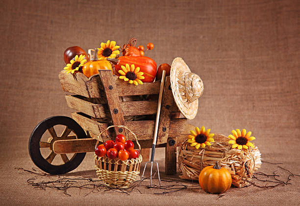 istock Wooden wheelbarrow decoration 153014211