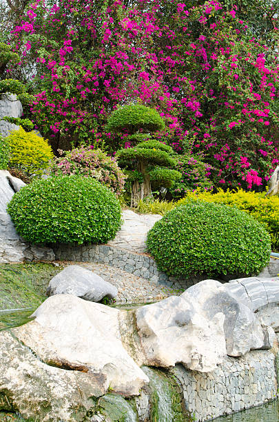 Exotic garden in Thailand stock photo