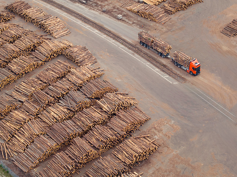 A loaded logging truck at a lumber industry depot.