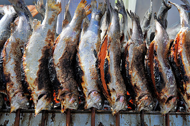 istock Row of grilled brown trouts 153015686