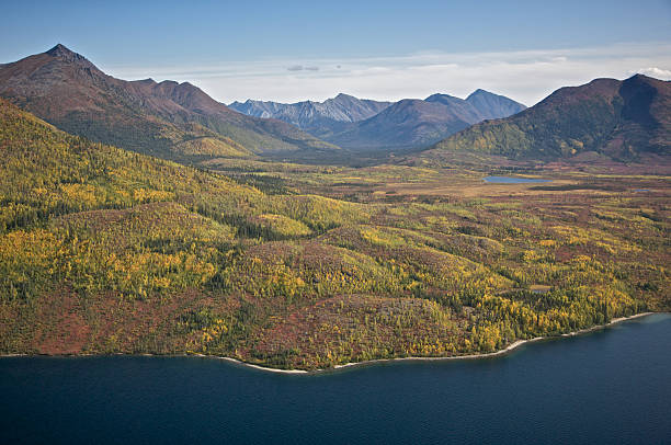 mountain valley de alaska - brooks range fotografías e imágenes de stock