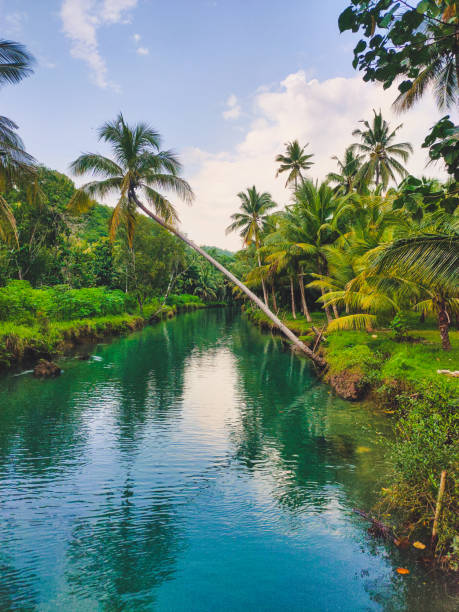 Relaxing view tropical River