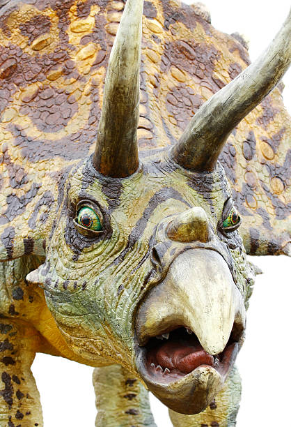 istock Triceratops portrait 153018051