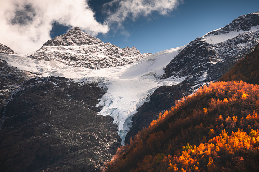 Snow-covered mountain peaks with glacier and yellow autumn forest. Cheget mount in North Caucasus, Russia.